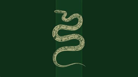Slytherin Snake Wallpapers On Wallpaperdog