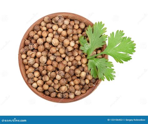 Coriander Seed And Leaves In Wooden Bowl Isolated On White Background