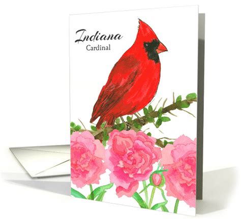 State Bird Of Indiana Cardinal Peony Flower Card 1518644