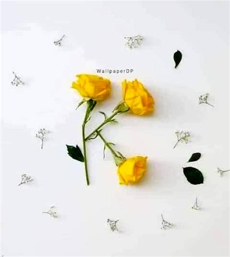 Alphabet letters dp stylish a to z. Real flower Unique A to Z Alphabet dp pics for Whatsapp ...