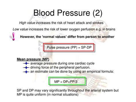 Ppt Blood Pressure And Flow Measurements Powerpoint Presentation