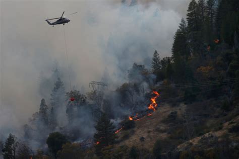 Pgande Expects To Be Responsible For Starting Lethal Camp Fire