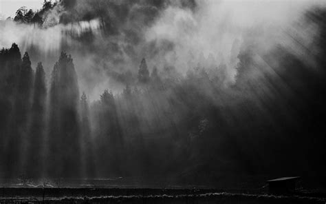 1920x1080 Forest Nature Landscape Black White Night Monochrome Trees