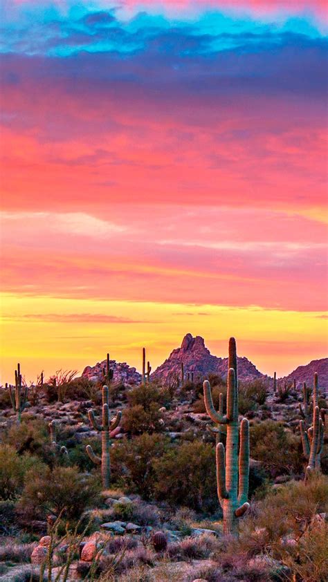 Vibrant desert sunrise in Scottsdale AZ with Pinnacle Peak in ...