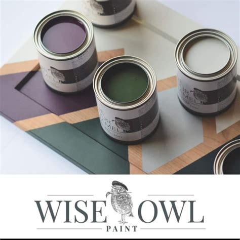 Wise Owl One Hour Enamel Paint Etsy