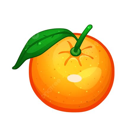 Fruit Oranges Orange Illustration Orange Illustration Fruit Png