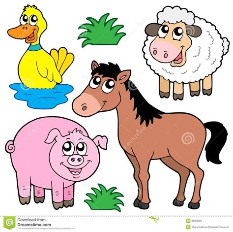 farm animals - Google Search | Farm animals, Animals, Weird animals