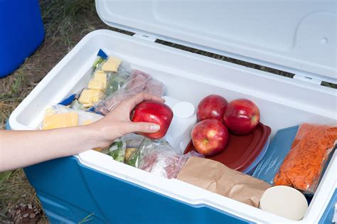 How To Keep Foods Cold At An Outdoor Picnic Storables