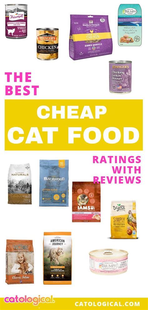 How do you say cat 🐈 in spanish? The Best Cheap Cat Food - Ratings & Reviews for 2020 ...