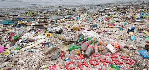 Coca Cola Is Worst Plastic Polluter In The World For Third Year In A Row
