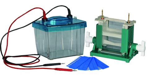 Protein Electrophoresis Equipment For Gels Bt Lab Systems