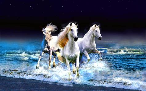 Horse Hd Wallpaper Background Image 3072x1920 Id321674