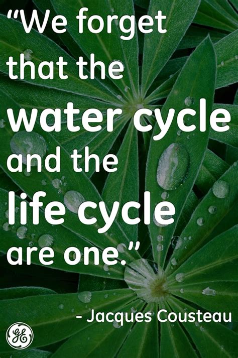 Quotes About Water Conservation Quotesgram