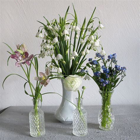 4:04 c′est aussi la fête du printemps : Fonds d'ecran Bouquets Muguet de mai Renoncule Orchidées Vase Fleurs télécharger photo