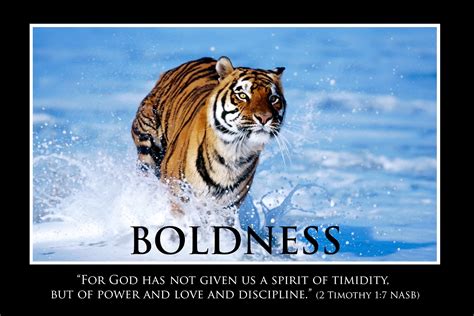 Quotes On Courage And Boldness Quotesgram
