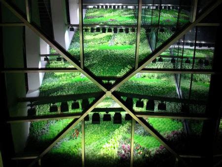 — plants help remove a variety of common household toxins in the air, which could be especially important with allergy suffers in. Indoor Vertical Garden: Brings Fresh Air To Buildings ...