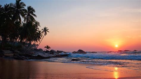 Goan Beaches Are Unsafe At Night Feel Indian Travellers Heres Why