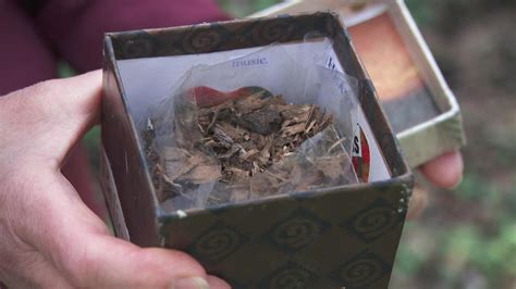 Human Composting The Rising Interest In Natural Burial Cbs News