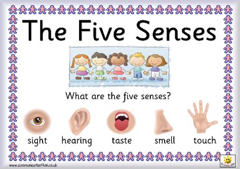 Faiths Learning Assessment My Five Senses