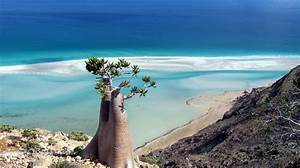 <b>Socotra</b> in November