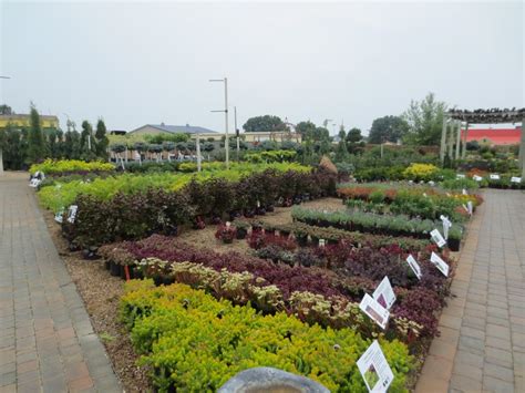 Garden Center Ground Effects