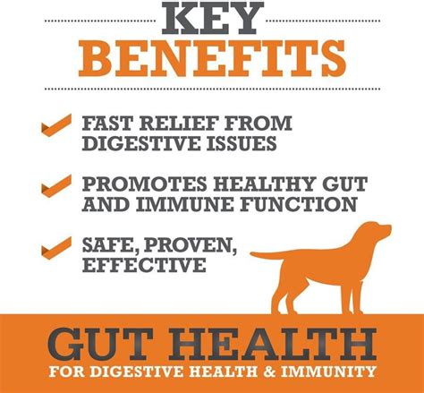 Winpro Pet Gut Health Soft Chew Dog Supplement 60 Count