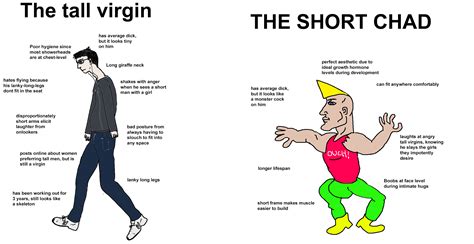the tall virgin vs the short chad r virginvschad