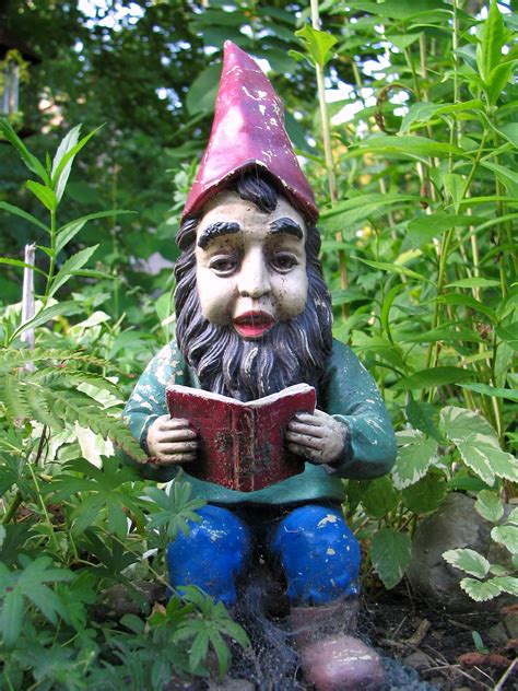 The Reading Gnome