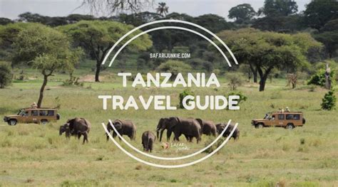 Quick Travel Guide To Tanzania Safari Junkie