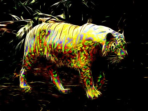 Colorful Tiger By Megaossa On Deviantart