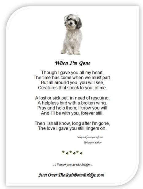 The size of your pet has no bearing on the amount of love you have for it. Pin by Marilyn Varilone on Shih tzu | Dog poems, Words of ...