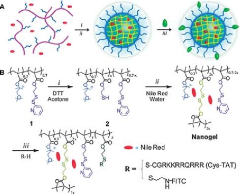 Design And Synthesis Of The Polymer Nanoparticles A Schematic