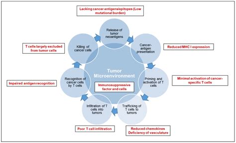 Cancers Free Full Text Precision Immuno Oncology Prospects Of