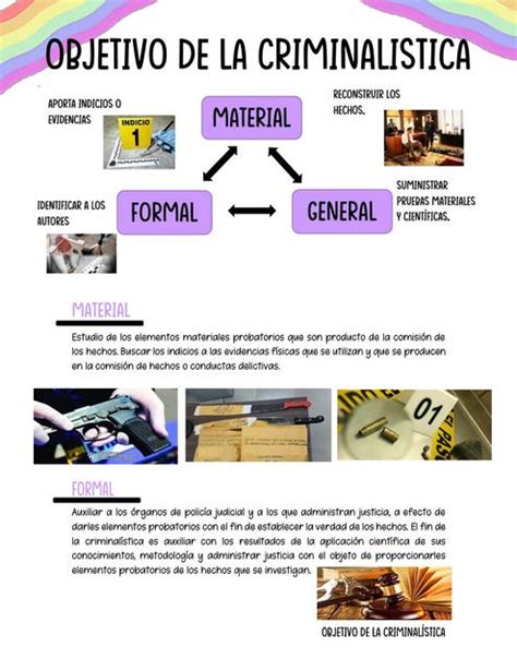 Objetivo De La Criminal Stica Study Delangel Udocz