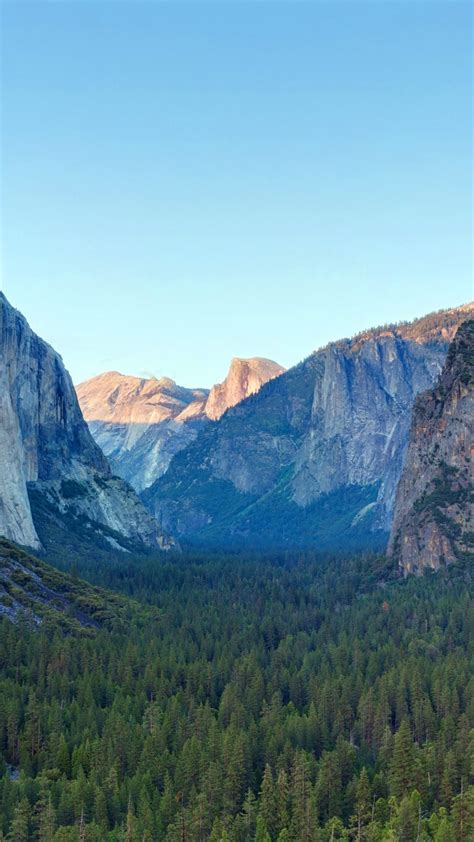 Wallpaper Yosemite 5k 4k Wallpaper Forest Osx Apple Mountains