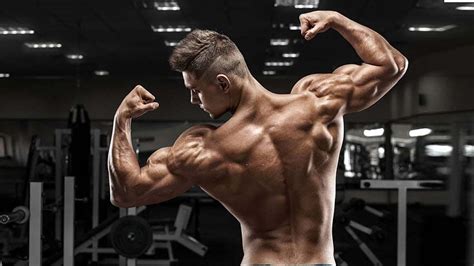 The Best Shoulder Workouts For Building Width The Trend Spotter