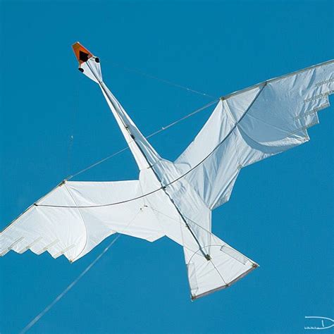 Pin By Getie On Vliegers Kite Kites Craft Kite Designs Kite Making