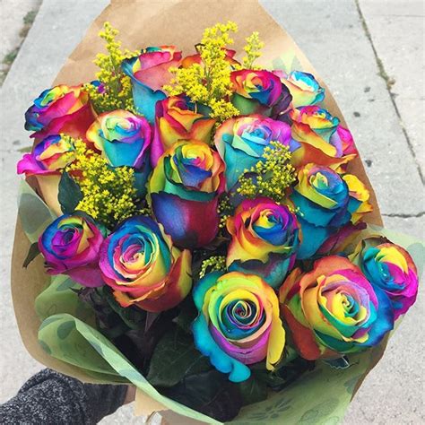 18 Rainbow Roses Los Angeles In Los Angeles Ca Highland Park Florist
