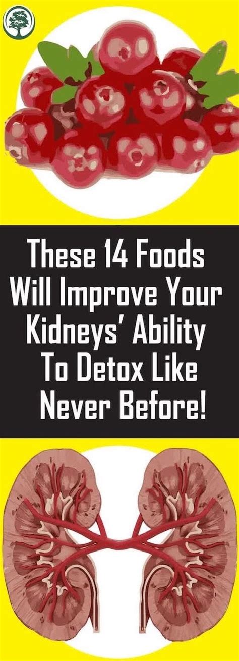 These 14 Foods Will Improve Your Kidneys Ability To Detox Like Never