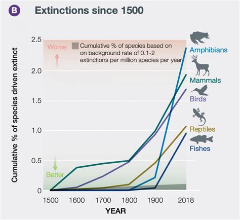 What Is The Extinction Crisis 5 Key Facts The Wilderness Society