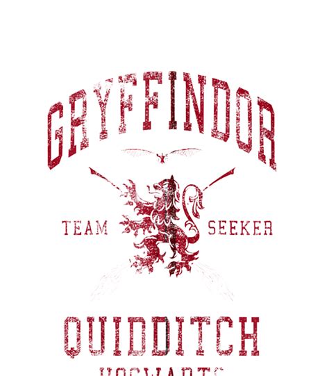 Gryffindor Quidditch Background