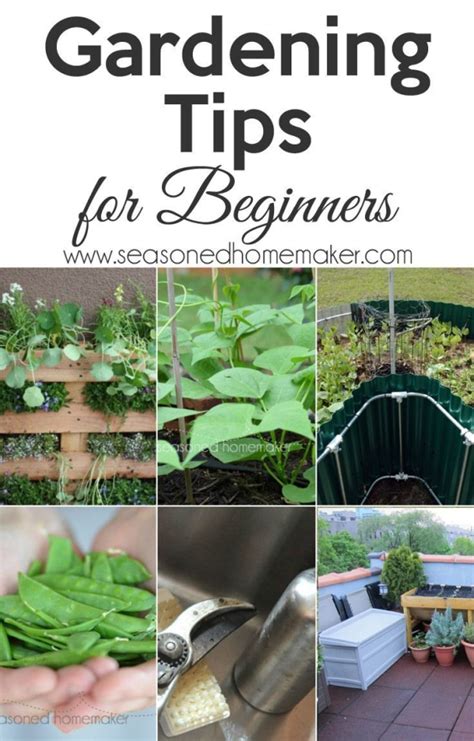 Are You A Beginning Gardener Its Time To Start Planning