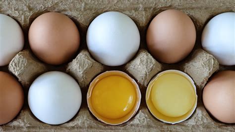 Is There A Nutritional Difference Between White And Brown Eggs