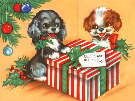 Sweet Animal Christmas Cards Beliefnet