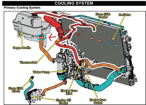 Ford F 150 Cooling System Diagram Wiring Site Resource