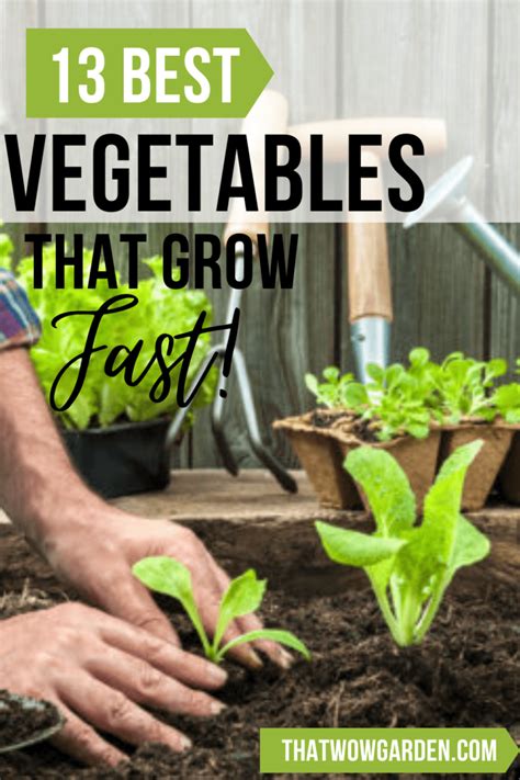 13 Fastest Growing Vegetables You Can Harvest In No Time Thatwowgarden