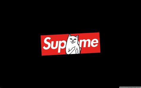 Free Download 83 Supreme Wallpapers On Wallpaperplay 2880x1800 For