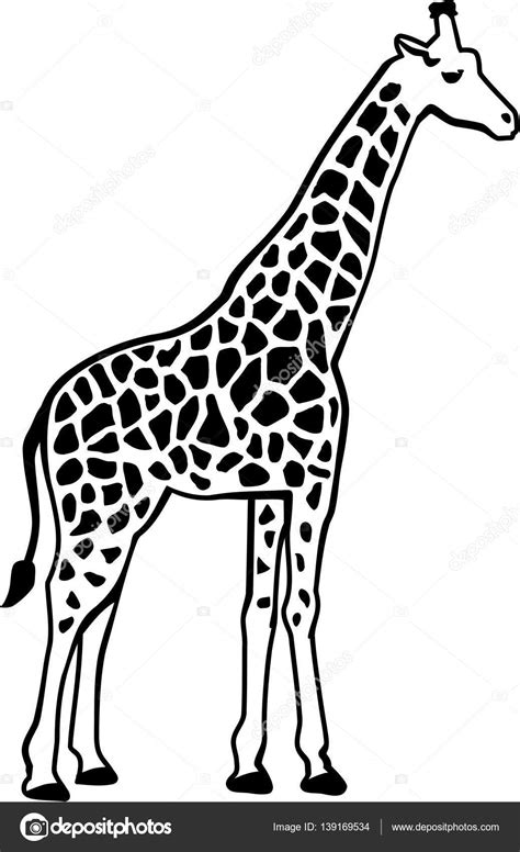 / 6+ giraffe animal templates. Giraffe silhouette with pattern — Stock Vector © miceking #139169534