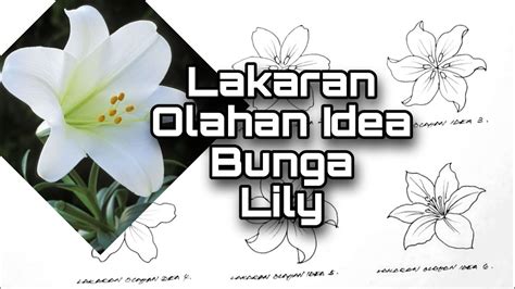 Lakaran Olahan Idea Bunga Lily Youtube