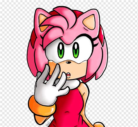 Amy Rose Sonic The Hedgehog Sonic And Sega All Stars Racing Shadow The